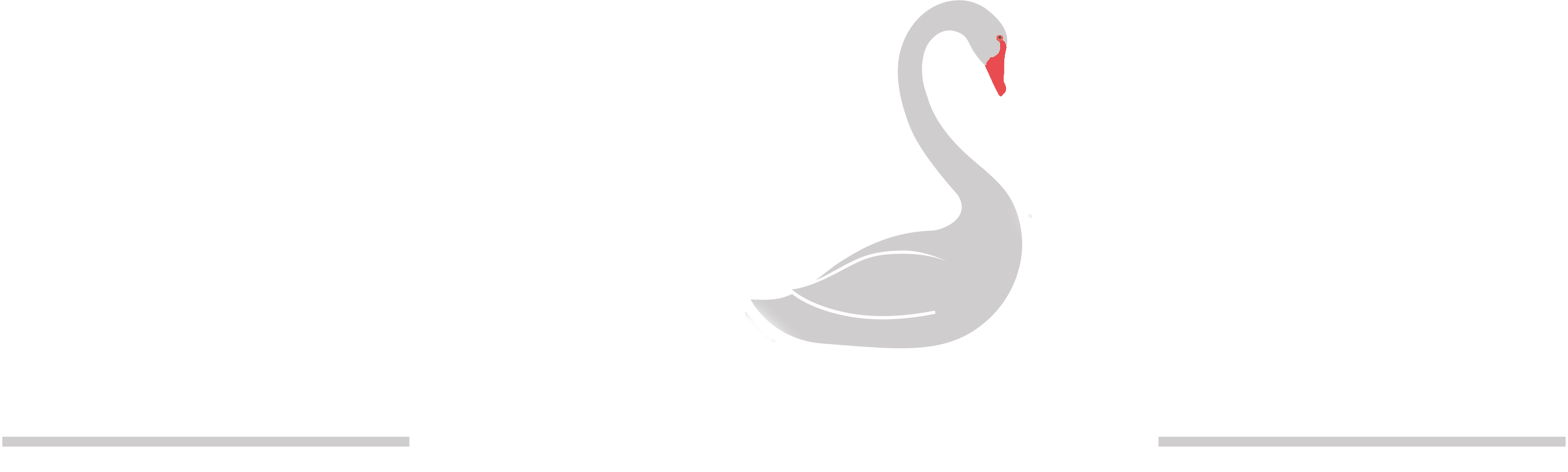 Black Swan Home Group